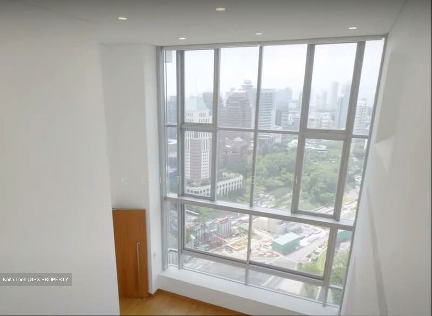 Skyline @ Orchard Boulevard (D9), Apartment #589388101